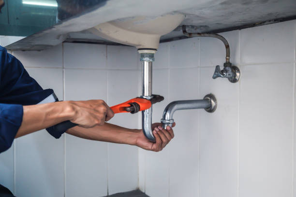 Best Clogged Drain Plumber  in Meeker, CO